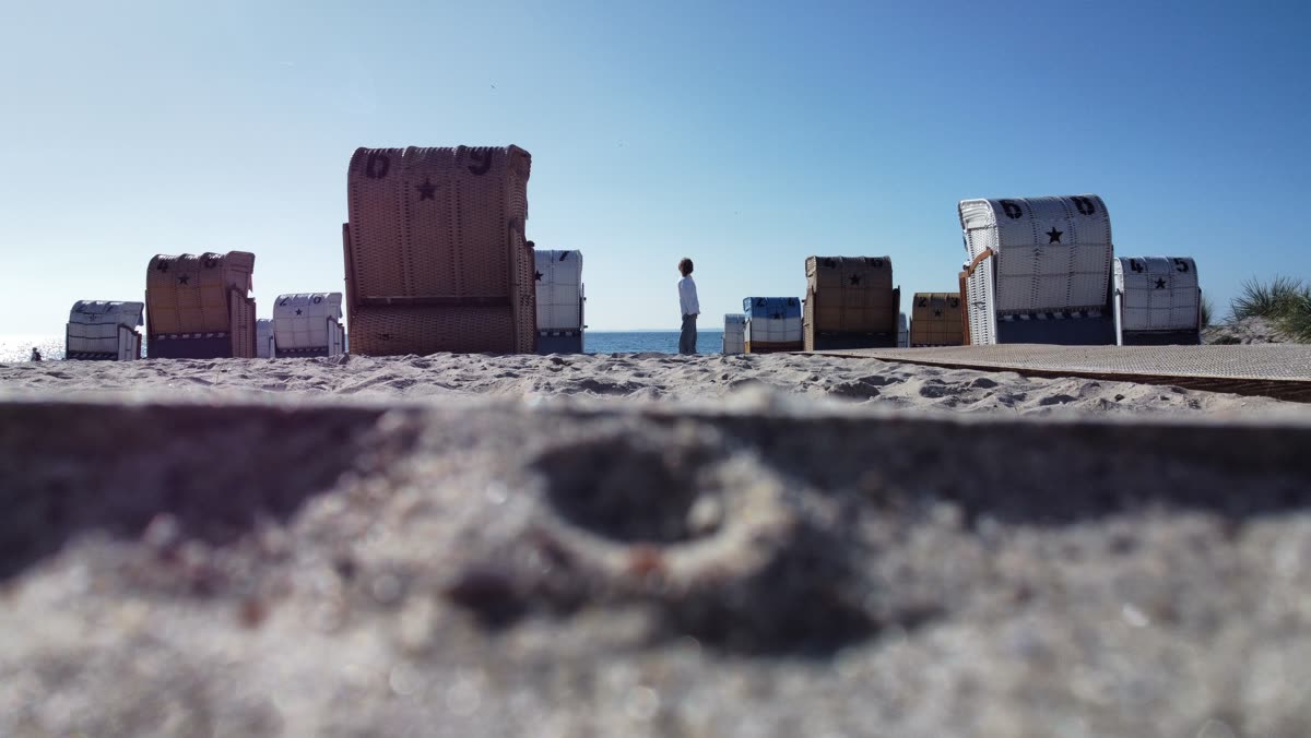 Luftaufnahme der Strandkorbreihen am Hundestrand Grömitz